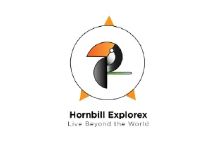 Client logo 11